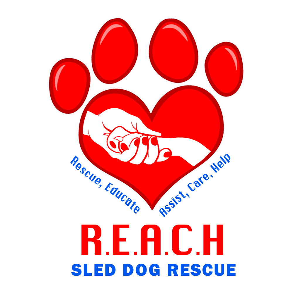 Help us help more dogs in need