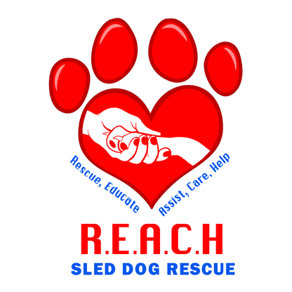 Help us help more dogs in need